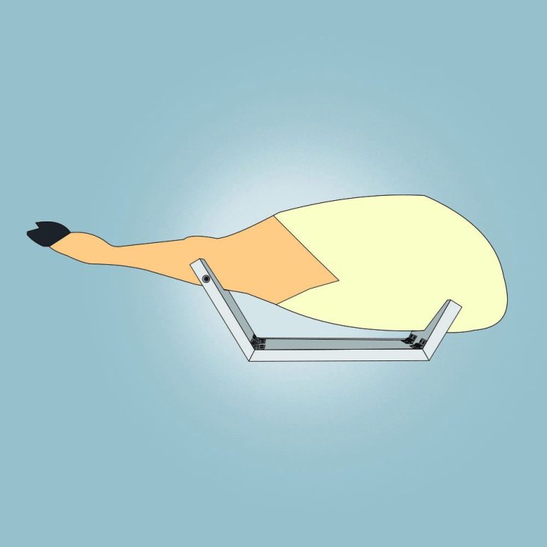Jamón con Denominación de Origen colocado en el jamonero plegable Kampé